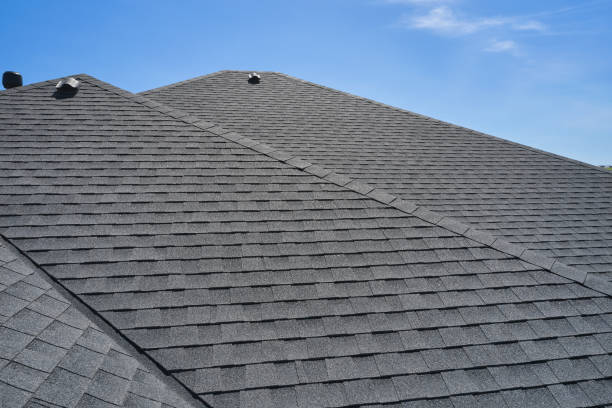 Best Roof Moss and Algae Removal  in Melissa, TX